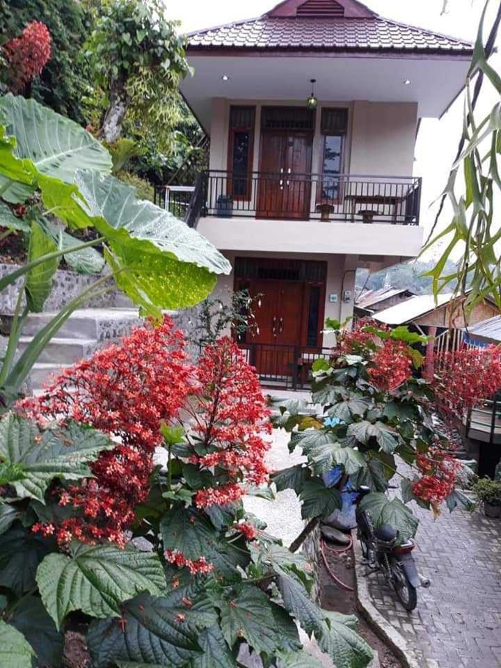 Bukit Lawang Hotel ภายนอก รูปภาพ